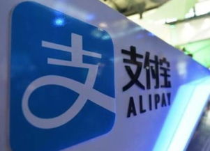 支付宝 从个人服务到生态核心的中国互联网演化之路