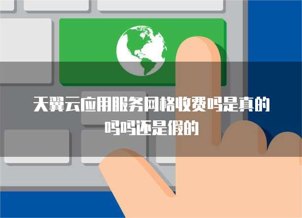 应用服务网格 真的便宜又安全吗？互联网服务的深度剖析